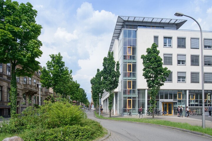 View of the rear of the Department of Economics building. In the foreground is a road and a few trees.